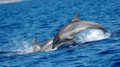 escursioni-giornaliere